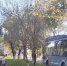 IMG_20251107_020532 - Сетевое издание Арбуз