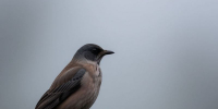КаспийИнфо. Новости Астрахани и региона - KaspyInfo.Ru