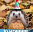 10 ноября — Международный день ежа! - Служба ветеринарии