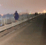 vlcsnap-2025-11-11-21h01m48s912 - Сетевое издание Арбуз