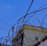 Астраханца осудили на два года колонии за экстремистский комментарий в интернете - Газета Волга