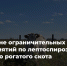 Отменён карантин по лептоспирозу КРС - Служба ветеринарии