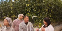 IMG_20251112_174317_260 - Сетевое издание Арбуз