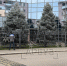 IMG_4174 - Сетевое издание Арбуз