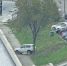 IMG_20251113_122054 - Сетевое издание Арбуз