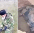 Лошадь в степи под Астраханью провалилась под землю и попала в склеп времен Золотой Орды - Газета Волга