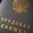 Астраханцев могут начать наказывать за тунеядство: инициатива направлена в Совфед - Bloknot-Astrakhan.Ru
