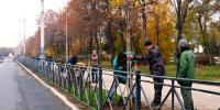 В Астрахани продолжается осенняя высадка деревьев и кустарников - Punkt-a.info
