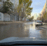 img - ЛДПР