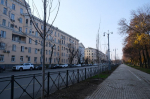 Вместо прутиков: в Астрахани высадили более 500 крупноразмерных деревьев