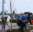 Глава Астрахани поручил высаживать в городе антивандальные деревья - Bloknot-Astrakhan.Ru