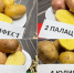На астраханской земле прижились «Юлия», «Манифест», «Лель» - Bloknot-Astrakhan.Ru