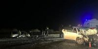В Астраханской области в ДТП с коровой погиб водитель - Астрахань 24