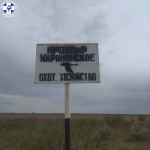 Ветеринарные специалисты проводят масштабную вакцинацию против бешенства диких плотоядных животных.