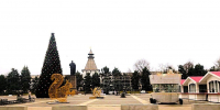 На будущей неделе ёлок в Астрахани станет больше - Ast-News.Ru