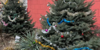 Елочные базары в Астрахани откроются 15 декабря: адреса - Bloknot-Astrakhan.Ru