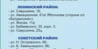 елочные базары - Южная Волна