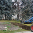 Цветы из парков и скверов Астрахани забирают на зимовку - Bloknot-Astrakhan.Ru