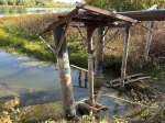 В Астрахани СНТ незаконно пользовались водой из протоки Царева
