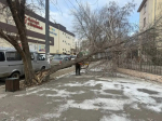 В Астрахани коммунальщики борются с последствиями ураганного ветра
