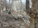В Астрахани коммунальщики борются с последствиями ураганного ветра