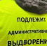 Иностранных студентов наказали за незаконную работу в Астраханской области - Астрахань 24