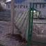 Последствия шторма в Ахтубинске и Знаменске: отключения света и поваленные деревья - Южная Волна