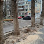 Анастасия Бубнова помогла жителям округа №35 устранить последствия непогоды