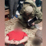 Трое жителей Астраханской области задержаны за вымогательство денег у участника СВО - Punkt-a.info