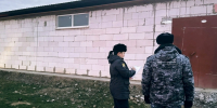приставы - Южная Волна