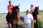 Профессионал во всем
