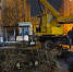 img - ЛДПР