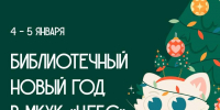 В модельных библиотеках Астрахани на январских каникулах пройдут новогодние мероприятия - Администрация города