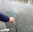 В Астрахани толщина льда на водоёмах не превышает 1 см - Комсомольская Правда
