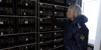 Более 60 тонн фасоли доставили в Астраханскую область из Кыргызстана - Газета Волга
