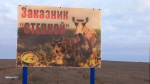 В Астраханскую область привезли ценное краснокнижное животное
