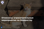 Отменён карантин по бешенству