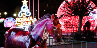 DSCF0461 - Сетевое издание Арбуз