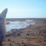 Screenshot_20260115_133142_VK - Сетевое издание Арбуз