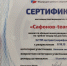 Астраханская команда установила всероссийский рекорд в гребном марафоне - Южная Волна