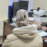 Военный прокурор Каспийской флотилии провёл личный приём граждан - Газета Волга