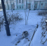вмёрзший лебедь - Южная Волна