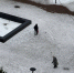 IMG_20260203_114121_523 - Сетевое издание Арбуз