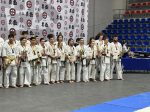 Чемпионат и Первенство Южного федерального округа по киокусинкай.