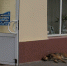 собака, золото, ювелирка - Сетевое издание Арбуз