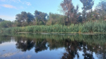 Астраханская область добилась прекращения сбросов воды с Волгоградской ГЭС