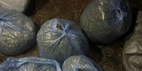 Полицейские нашли у астраханца свыше 5,7 кг конопли - Астрахань 24