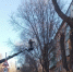 797699 - Сетевое издание Арбуз