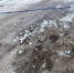 img - ЛДПР