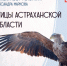 В астраханской библиотеке поселились крылатые и пернатые - Punkt-a.info